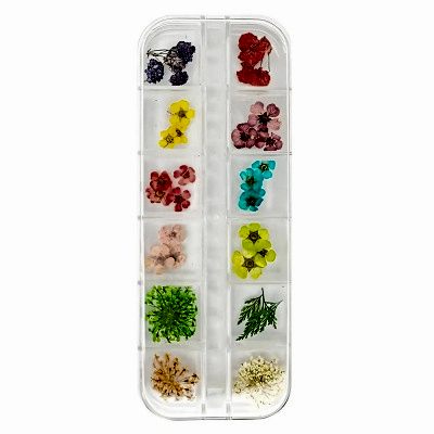 MİSYUL TIRNAK SÜSÜ KURU ÇİÇEK MİS-2087