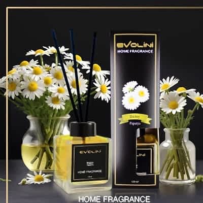 EVOLİNİ BAMBU ÇUBUKLU ODA KOKUSU 120ML PAPATYA