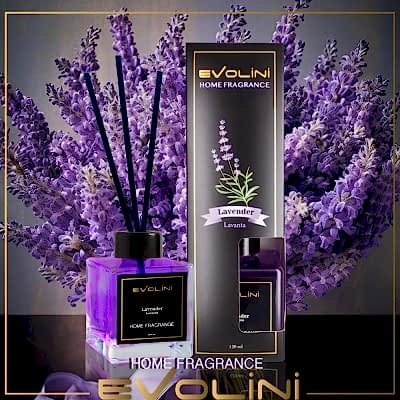 EVOLİNİ BAMBU ÇUBUKLU ODA KOKUSU 120ML LAVANTA